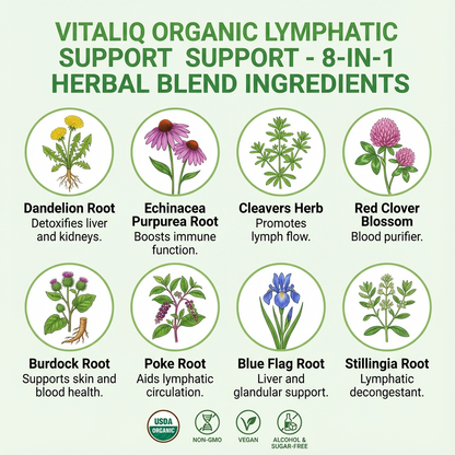 Organic LymphFlow Botanical Support